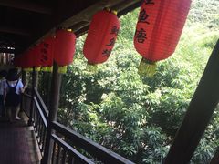 -鲤鱼塘农家山庄