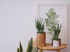 -Hello·生日蛋糕·下午茶·甜品台茶歇(瑞安东山店)