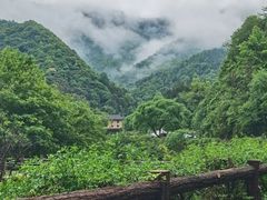 -石台牯牛降景区