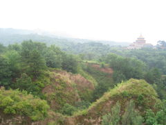 -磬锤峰森林公园