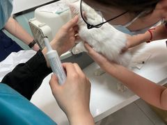 -中农大我爱我爱动物医院·核磁CT·猫病·24小时夜诊中心(石佛营店)