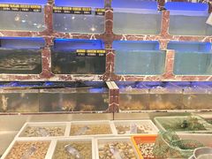 -长平肥姐白粥·海鲜打冷