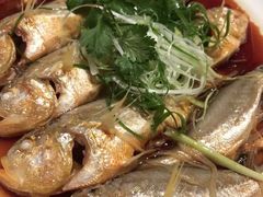 -陶陶居海鲜酒家(新马路店)