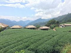 -优游吧斯邹族文化部落