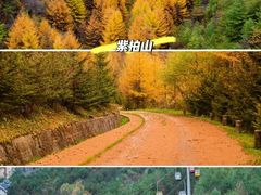 -秦岭风景区