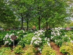 -洛阳市隋唐城遗址植物园