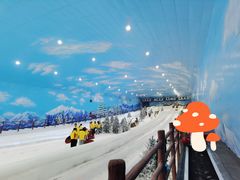 -世界之窗阿尔卑斯冰雪世界
