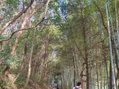 -敬亭山风景名胜区