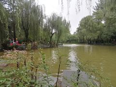-西安市长乐公园