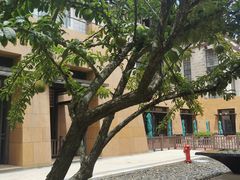 -三亚海棠湾万丽度假酒店