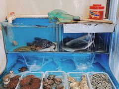 -福匠日本料理(人民路店)