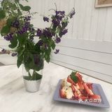 里面桌子上的花都是真花来的，看得出很用心