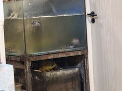 -文记沸腾鱼(永安路总店)