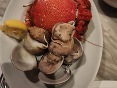 -君悦酒店·乐厨·高空自助餐(青年大街店)