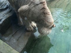 -杭州野生动物世界
