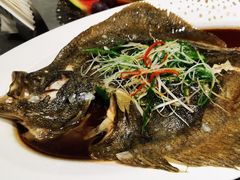 多宝鱼-神洲四海大酒楼(王府井澳门中心店)