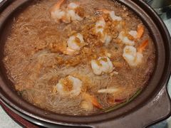 -邵年鸽(杨庄店)