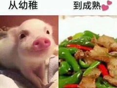 -赛百味(仙林金鹰店)