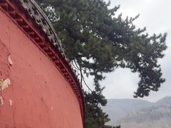 -五台山风景名胜区-罗睺寺