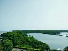 -大湾区中央湿地公园