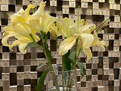 -苏州樊登书店·咖啡