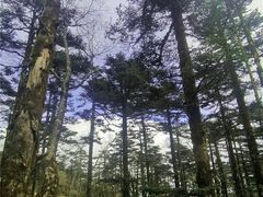 -秦岭风景区