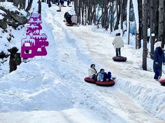 -洛阳白云山景区