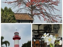 -喜洲吧·江畔老船厂·庭院餐厅(喜临院店)