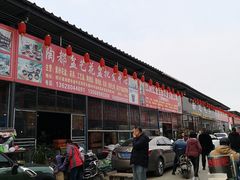 -金科花卉市场