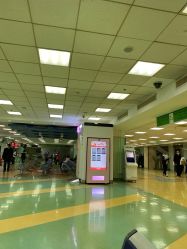 -首都医科大学附属北京儿童医院