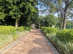 -天河儿童公园