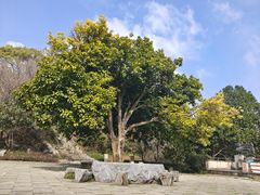 -千岛湖东南湖区