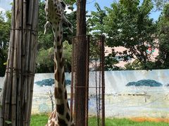 -昆明动物园