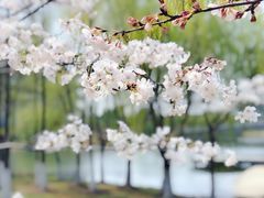 -江南大学(蠡湖校区)