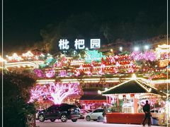 -枇杷园食为鲜火锅(南山店)