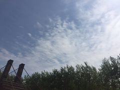 -合肥滨湖国家森林公园