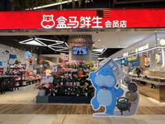 门面-盒马鲜生(悠方店)