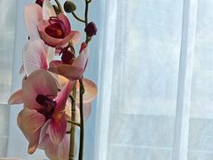 -颂福楼·南京菜(定淮门店)