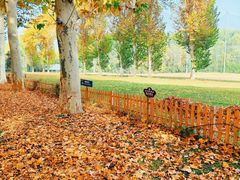 -河南省黄河迎宾馆