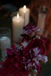 -格乐利雅婚礼艺术中心(南外滩店)