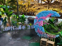 -山叶口景区