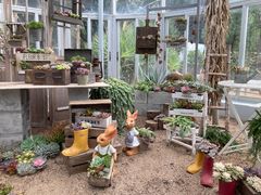 -深圳仙湖植物园