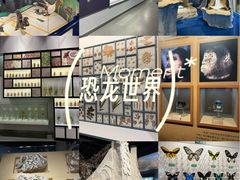 -国家自然博物馆