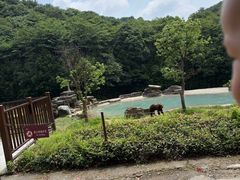 -杭州野生动物世界