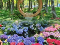 -上海鲜花港