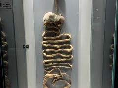 -生命奥秘博物馆