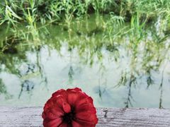 -永定河休闲森林公园