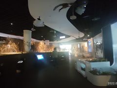 -上海长江河口科技馆