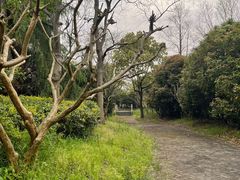 -上海海湾国家森林公园