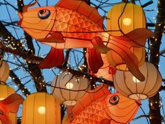 -龙湖星悦荟(颐和店)